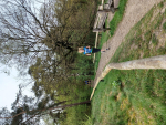 Ontbijtloop 2024 (7).jpg